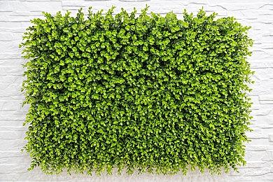 动视考迪克暗示：《吉他英雄》系列游戏即将回归